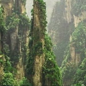 Meet your Posher, Colleen